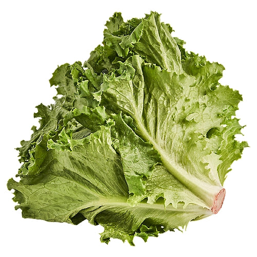 Premium Green Leaf Lettuce, 1ct (C&S)