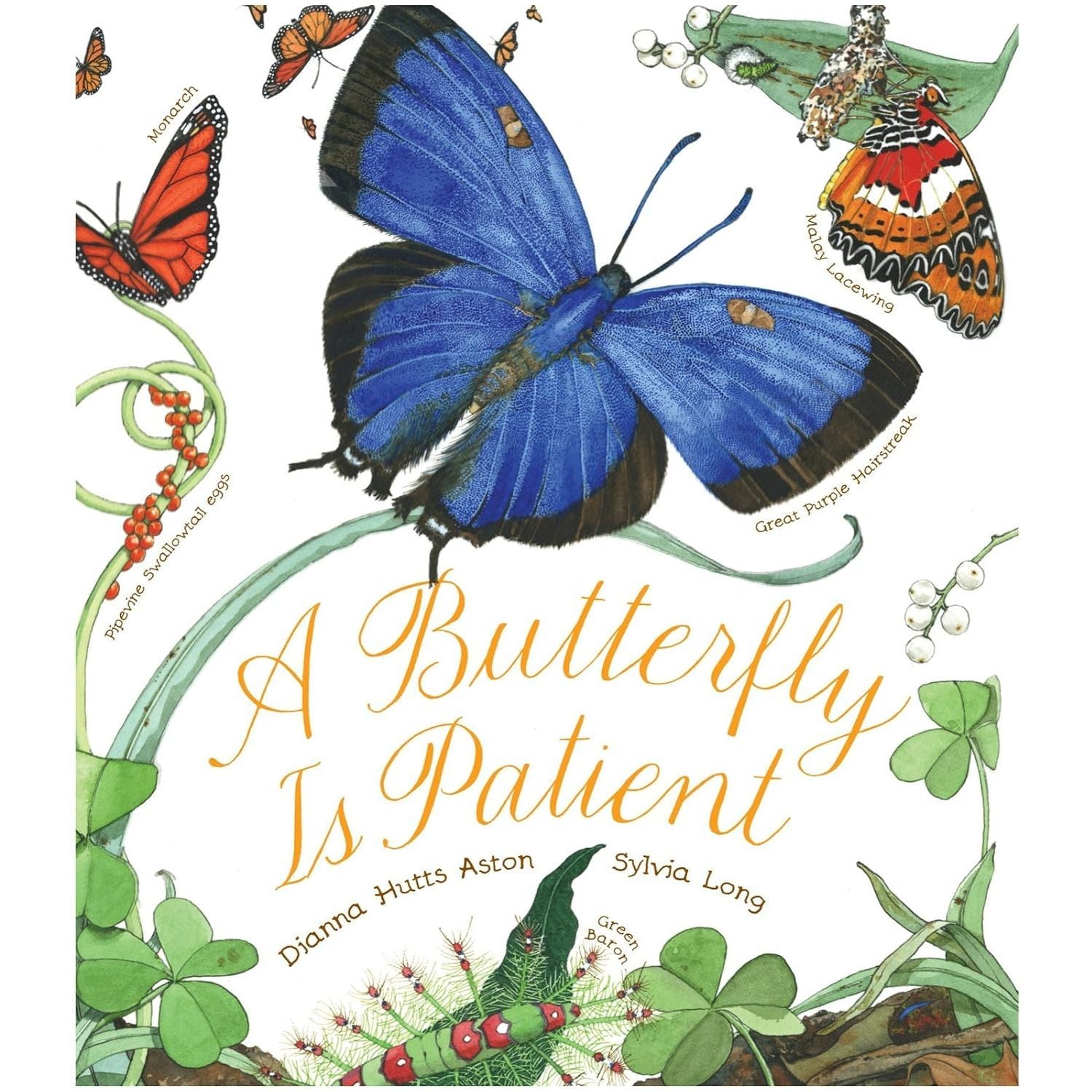 A Butterfly is Patient