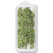 Fresh Oregano, 1oz (C&S)