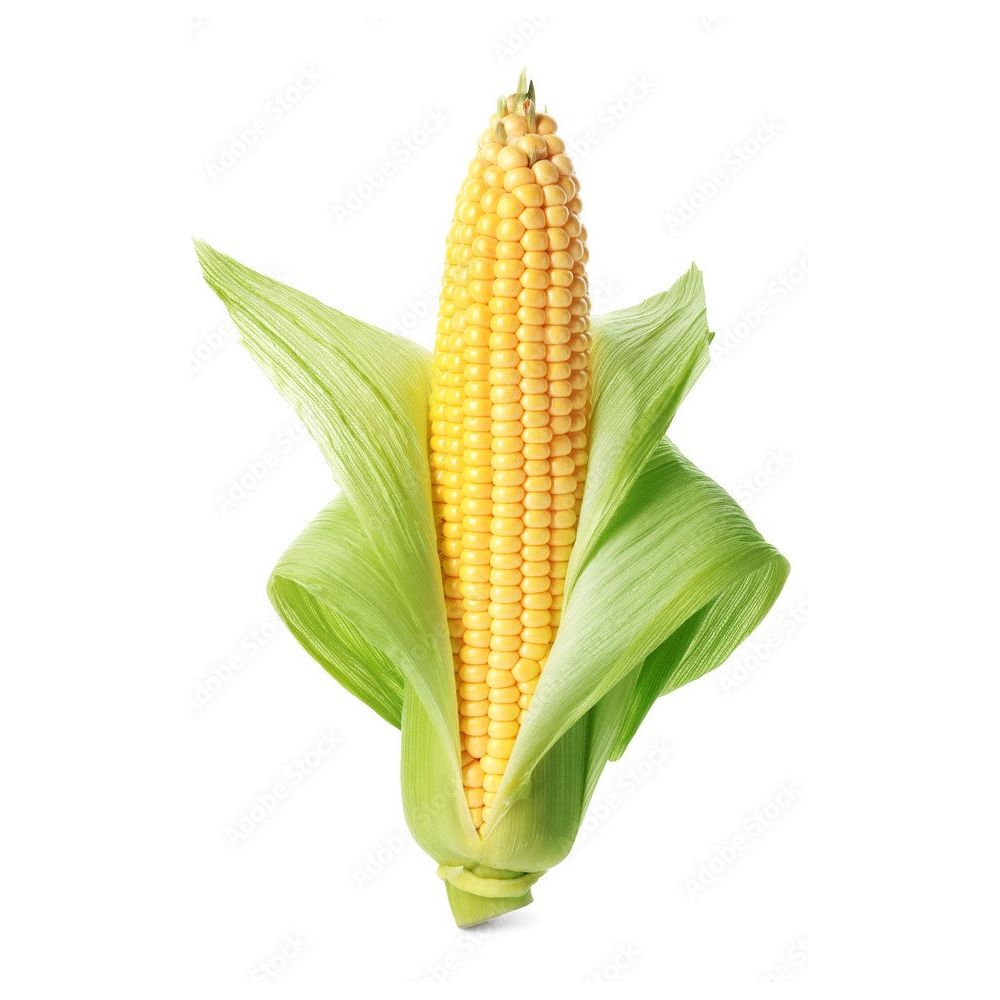 Fresh Corn on The Cob 1 Ct. (C&S)
