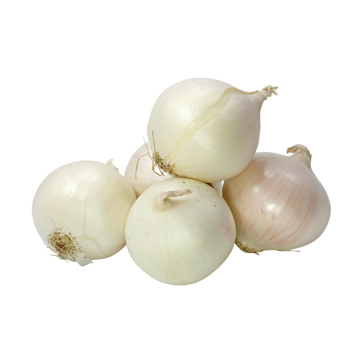 White Onion, 3lb (C&S)