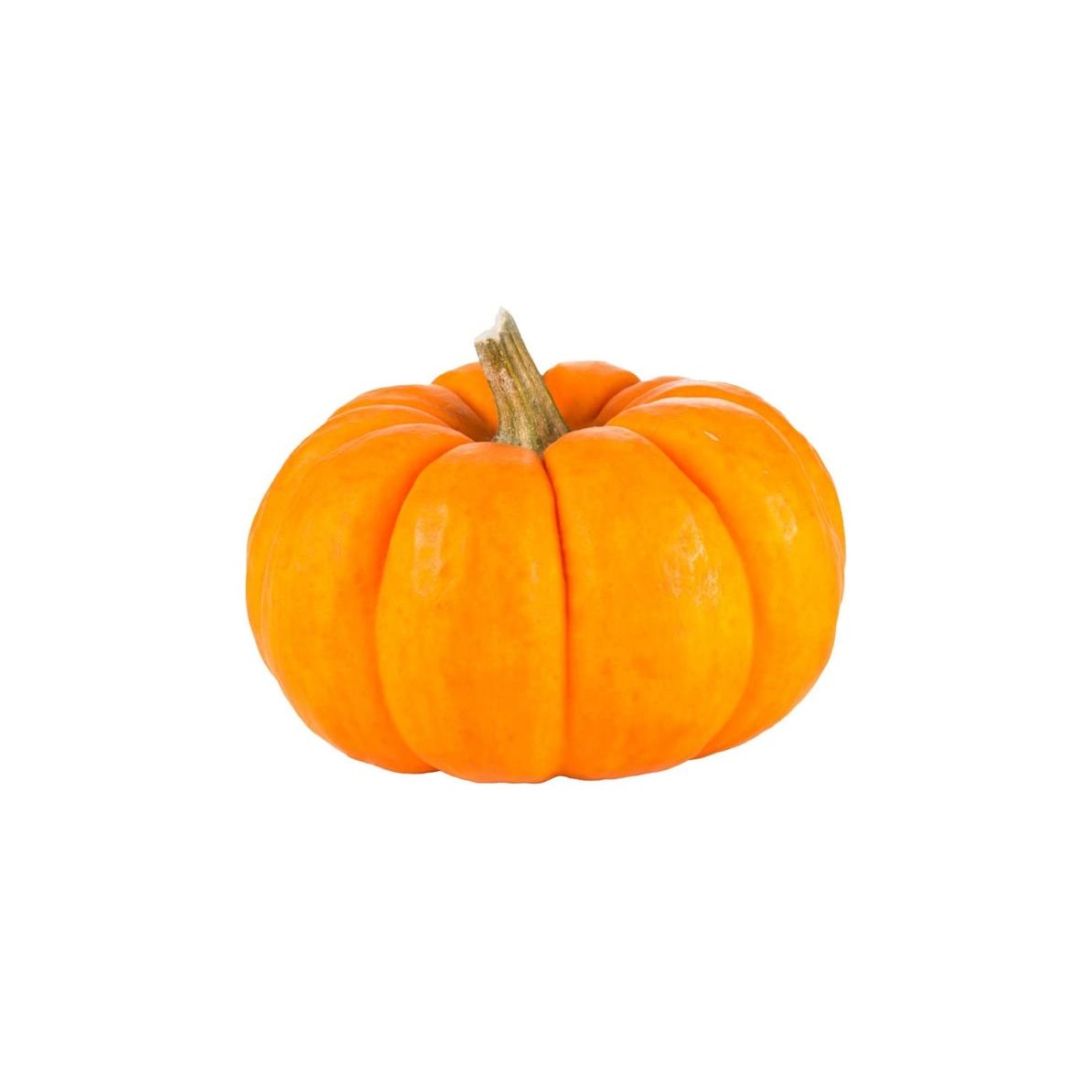 Mini Pumpkin, 1 Ct (C&S)