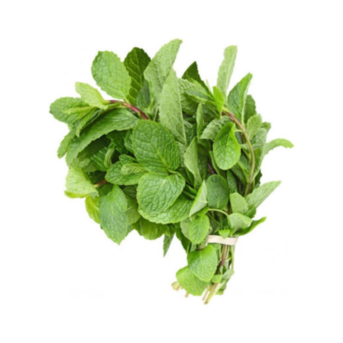 Fresh Cut Mint, 1 Oz (C&S)