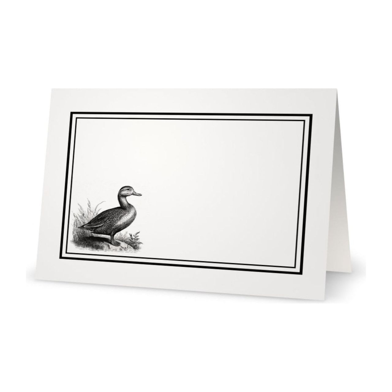 B&Y Place Cards 90pk - Duck