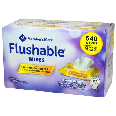 Member's Mark Flushable Wipes, 60 Ct, 9 Pk, 1 Case