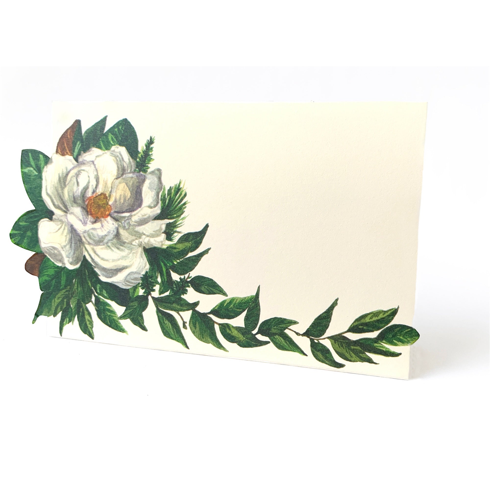 Place Cards Magnolia pk of 12