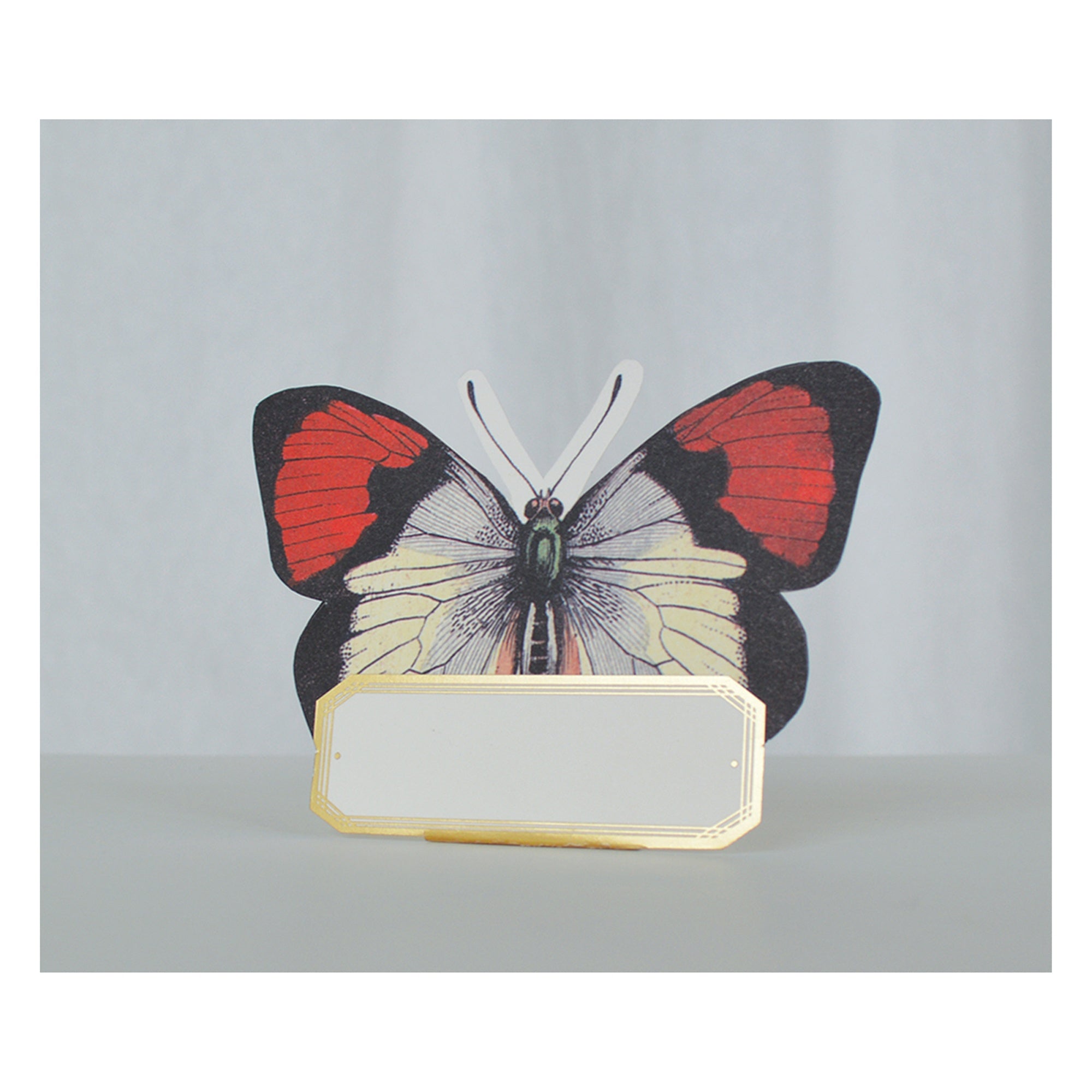 Place Card Jumbo Butterfly