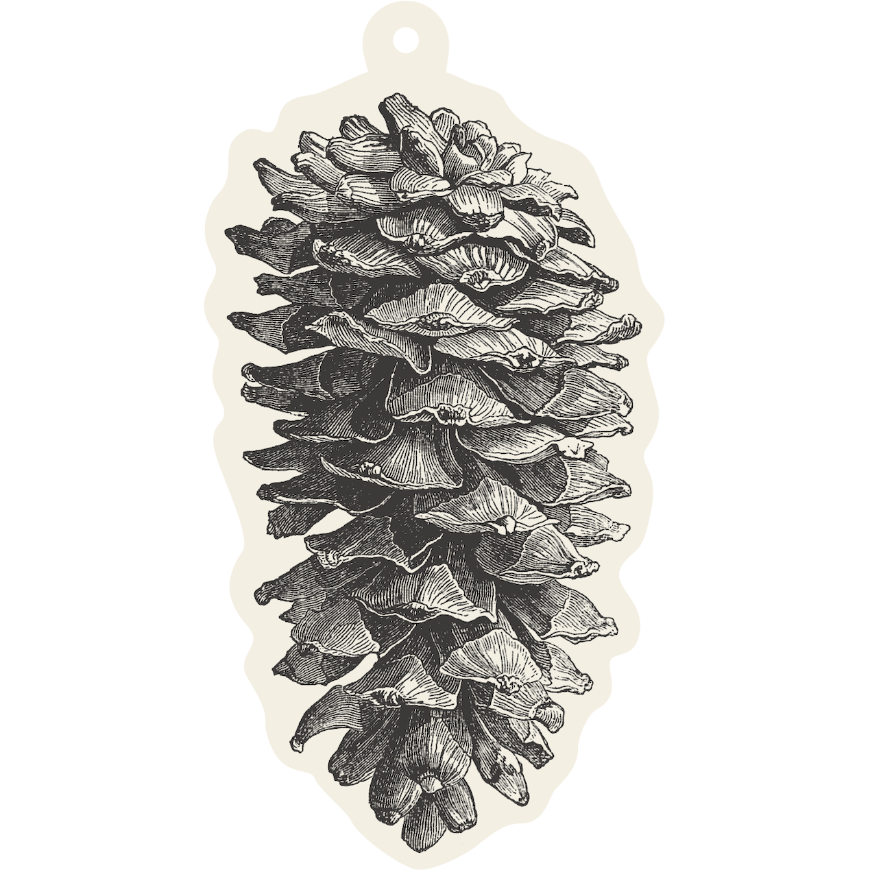 Gift Tag Pinecone 12 tags