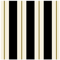 Napkins Cocktail Black & Gold Awning Stripe 20 pk