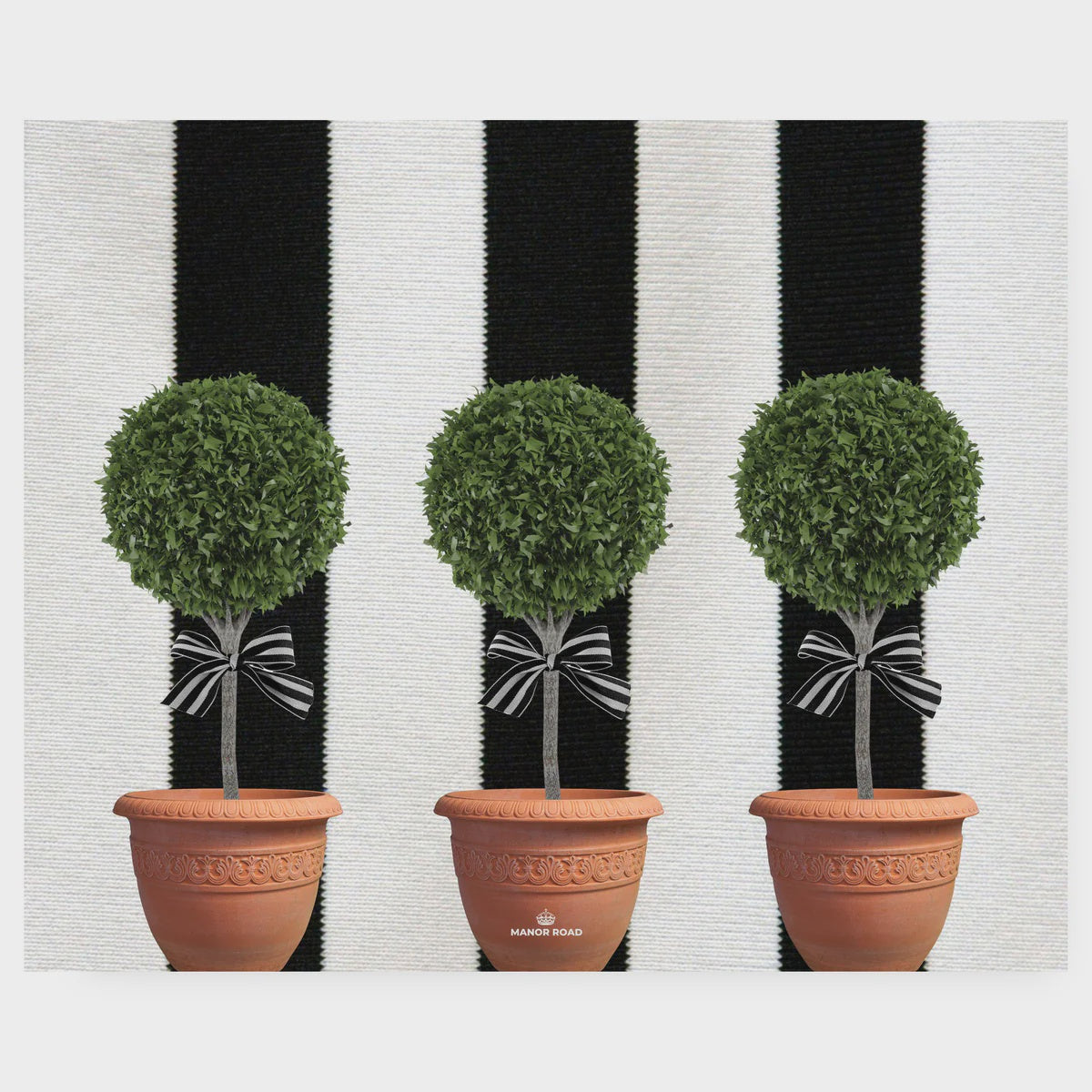 Place Mats Manor Road Topiary 30 pk