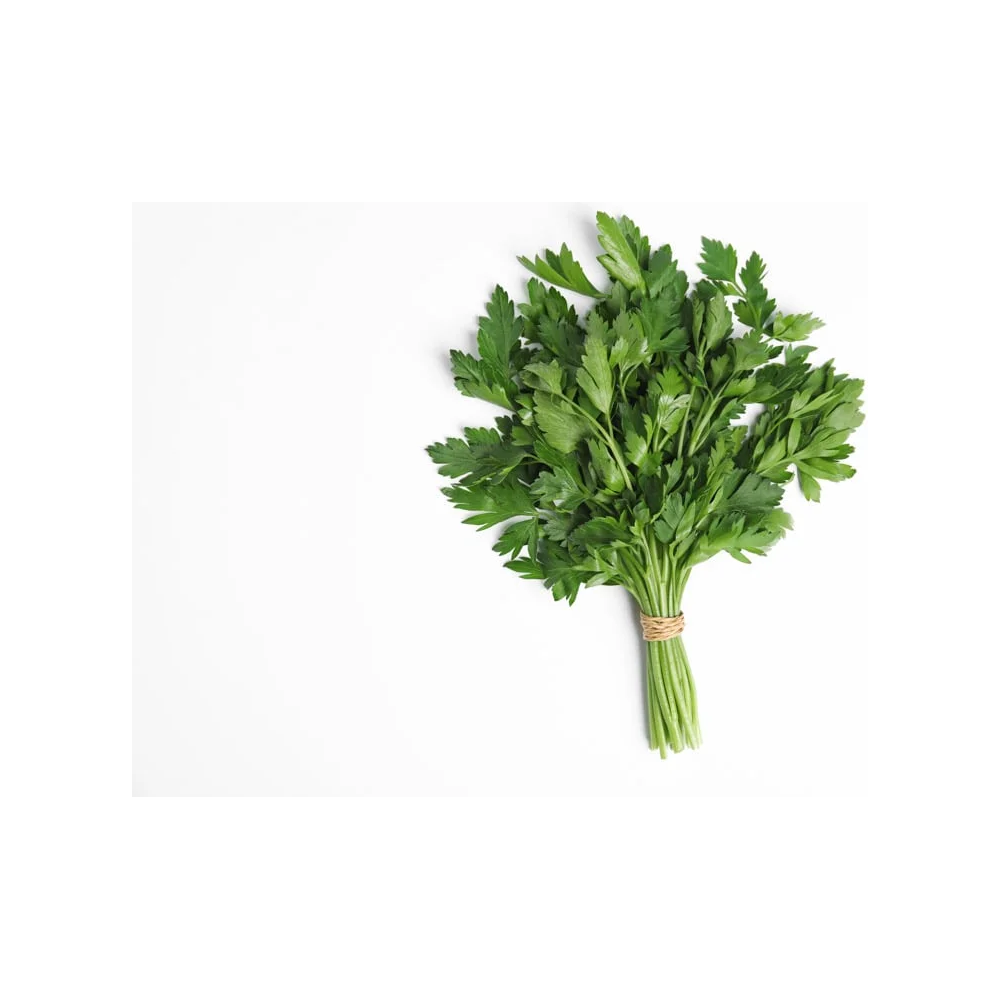 Italian Parsley, 1 Ct (C&S)