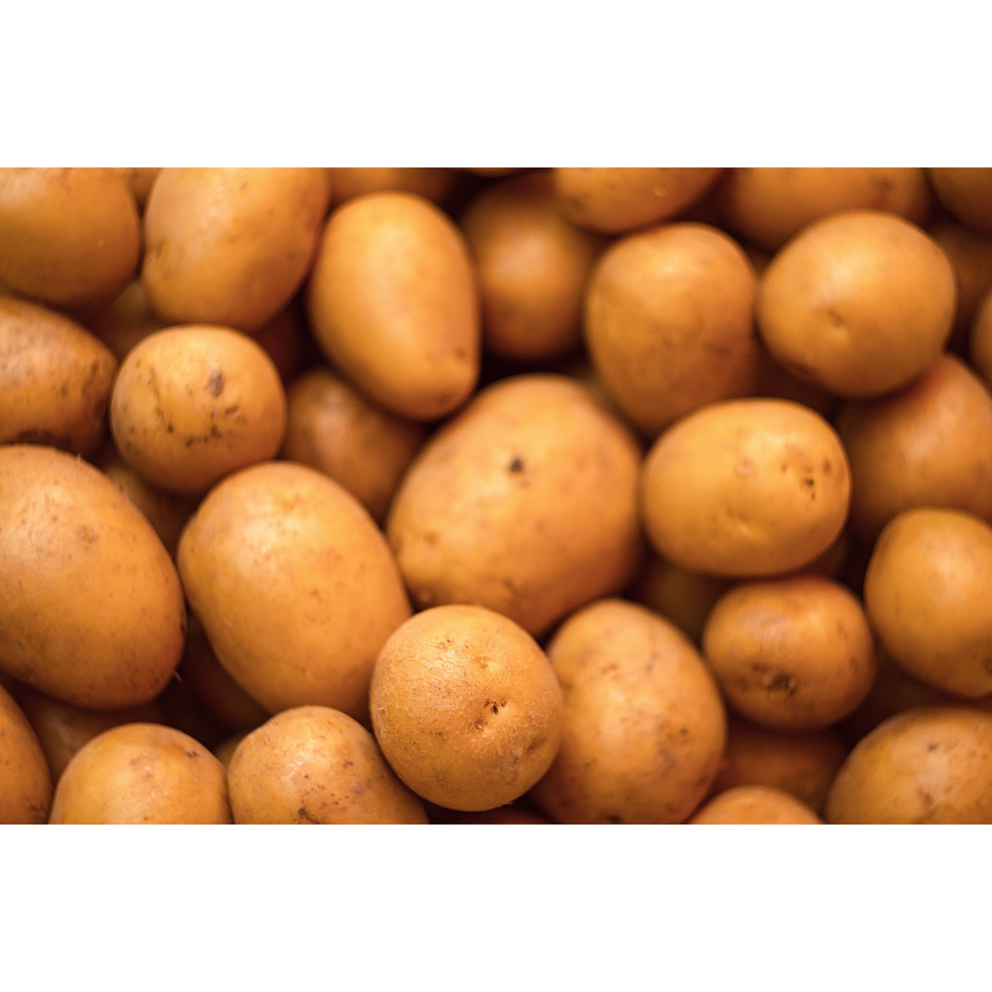 Gold Potatoes, 5 Lb (C&S)
