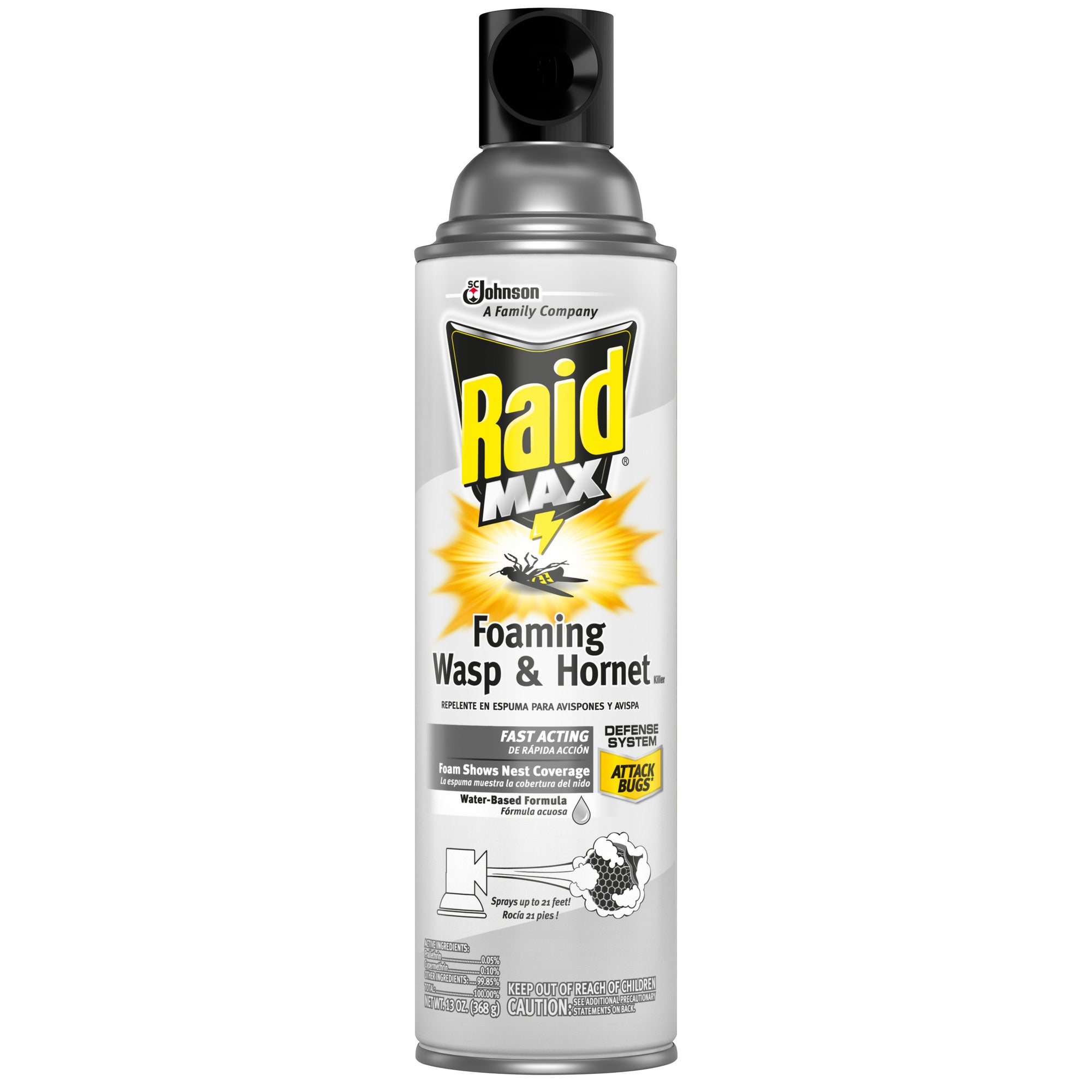 Hot Shot Foaming Wasp & Hornet Killer, 14 Oz