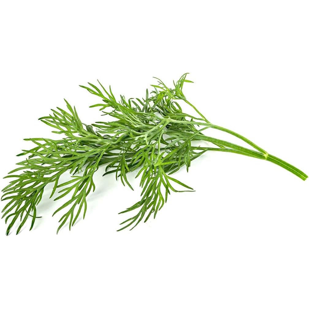 Fresh Dill, 1 Oz (C&S)