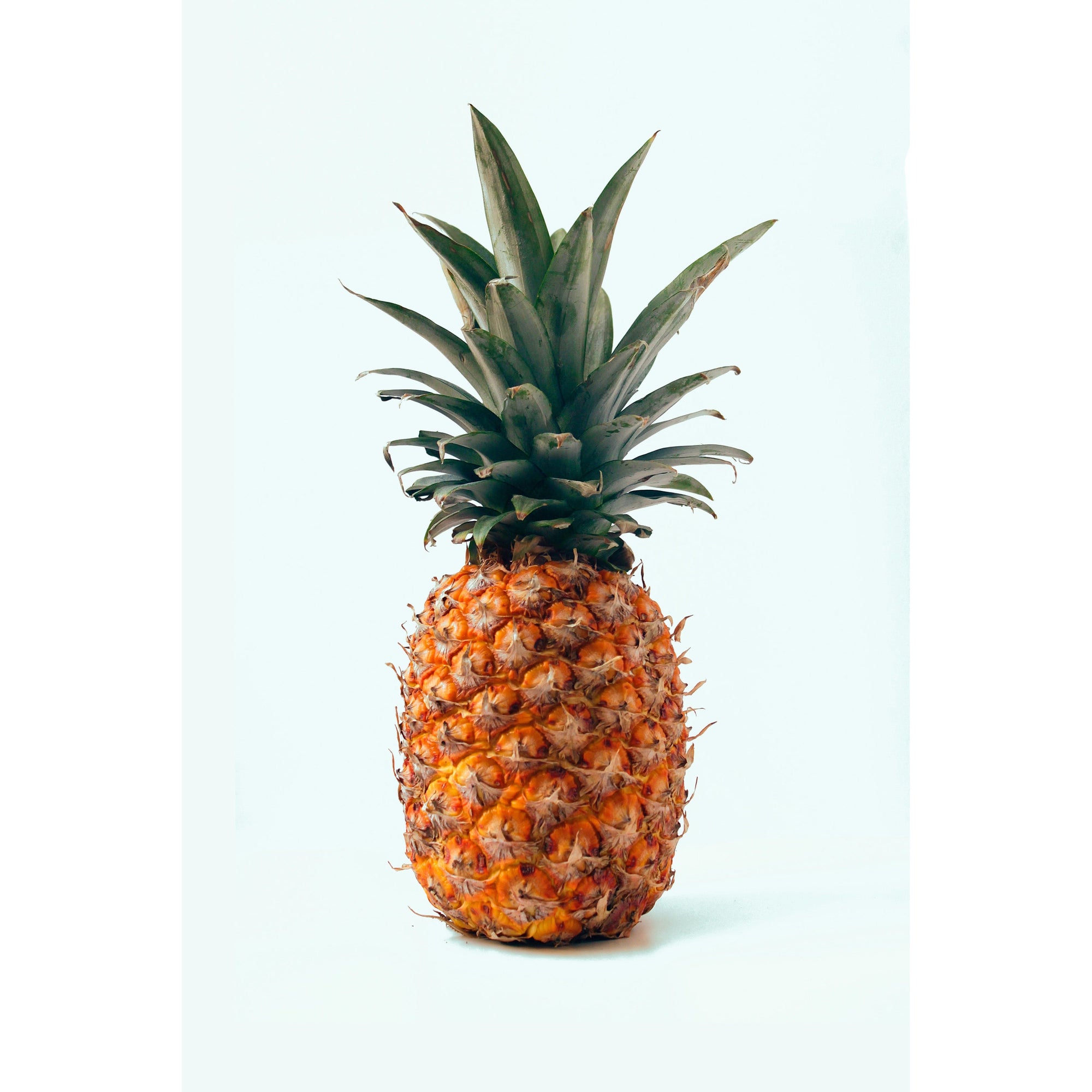 Pineapple  (C&S)