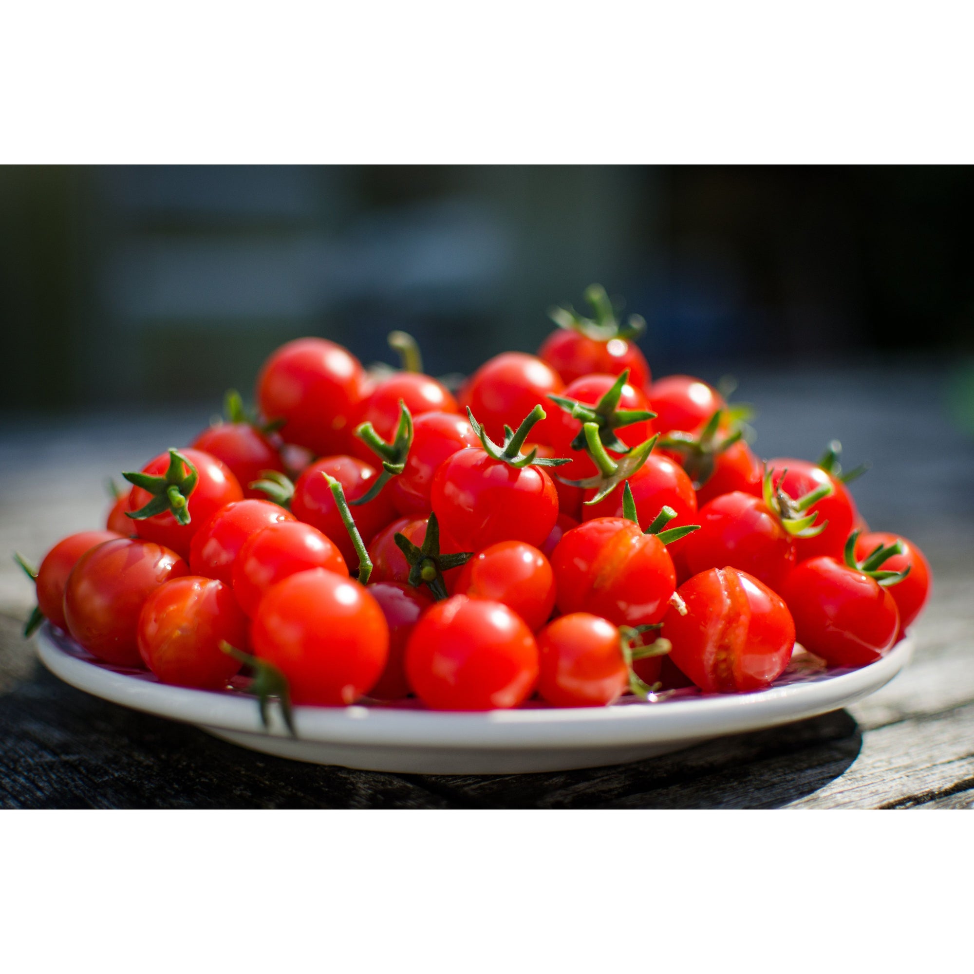 Cherry Tomatoes, 1 Pt (C&S)