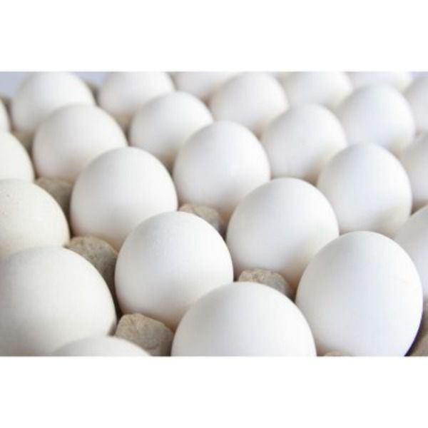 Large Grade A Eggs, 1 Dz