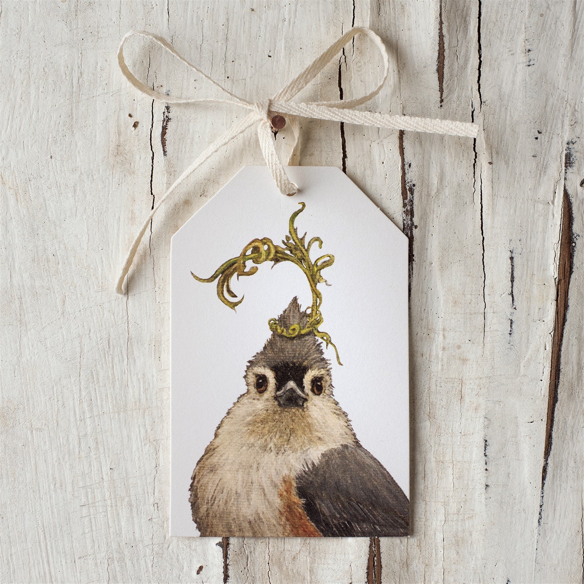 Gift Tag Songbird 12 tags
