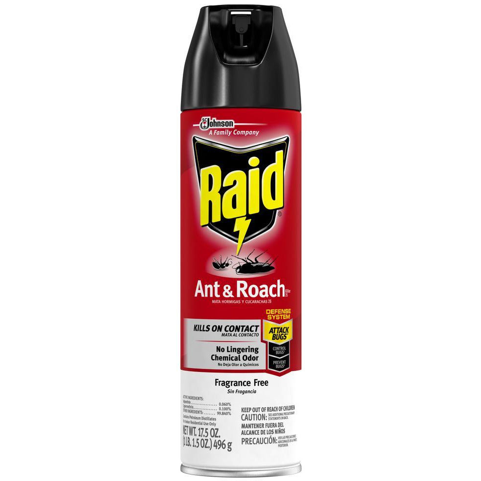 Raid Ant & Roach Spray Outdoor Scent, 17.5 Oz