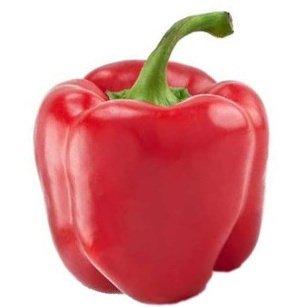 Peppers Red, 1 Ct