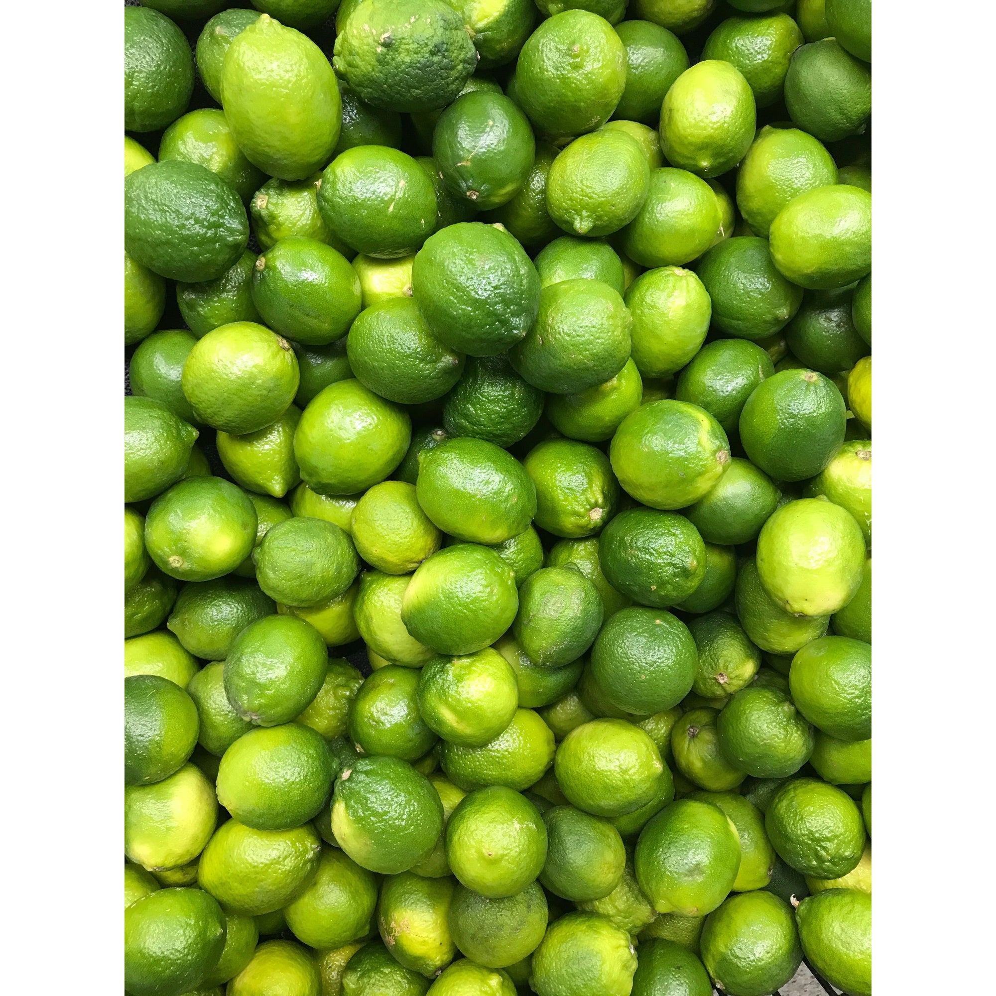 Lime, 1 Ct (C&S)