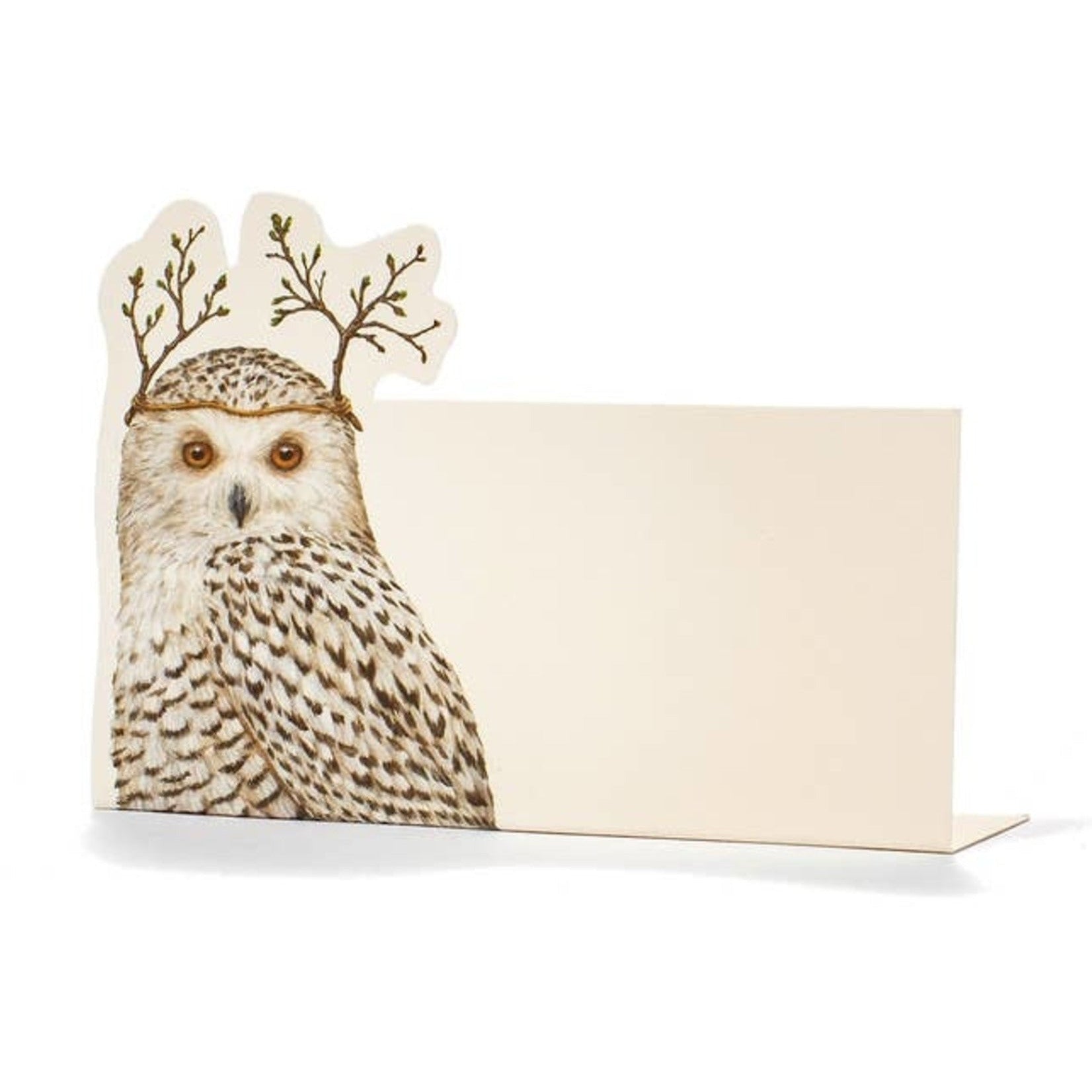 Place Cards Winter Owl